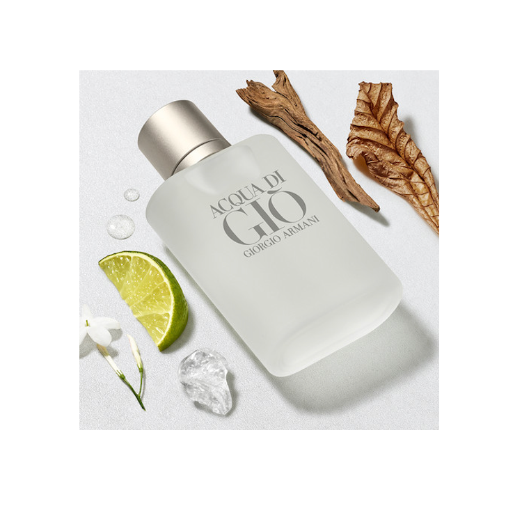 GIORGIO ARMANI - ACQUA DI GIO 100 ml א.ד.ט לגבר