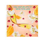 אלביב - קרם לחות ללא שטיפה לשיער גלי עד מתולתל