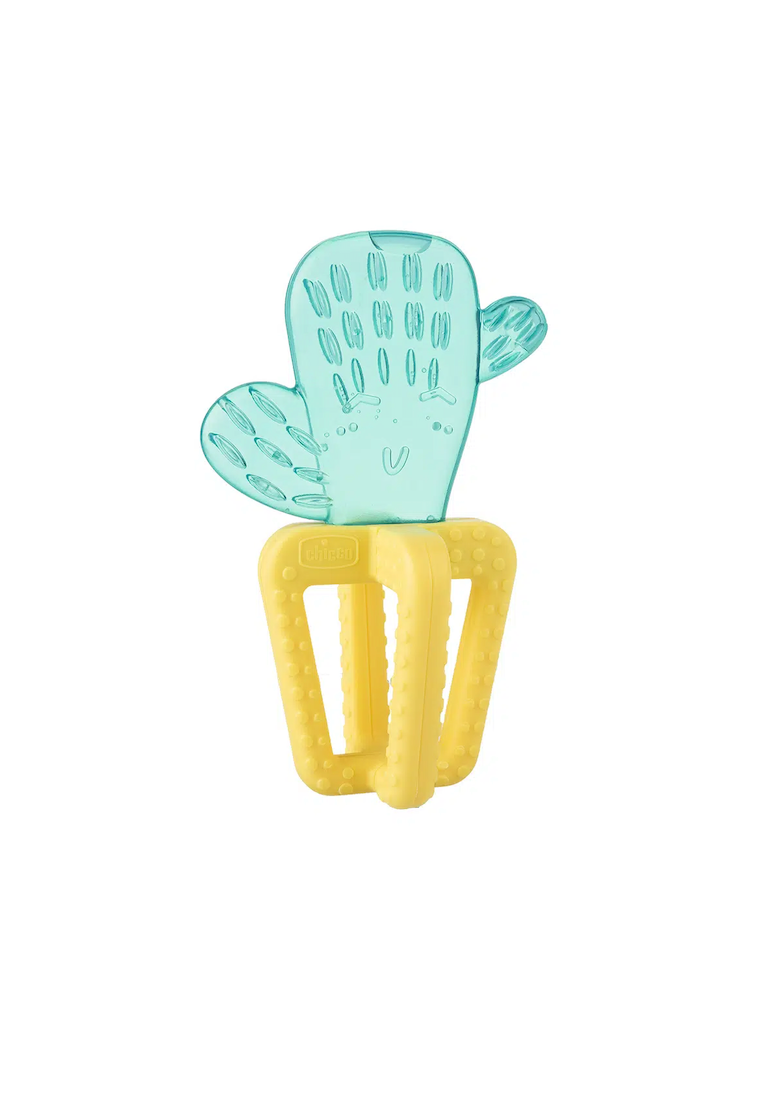 CHICCO - נשכן קקטוס – +Cactus Fresh 4m