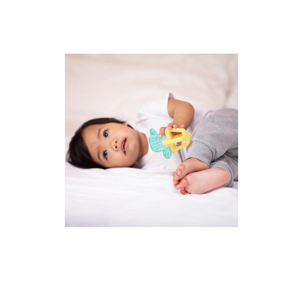 CHICCO - נשכן קקטוס – +Cactus Fresh 4m