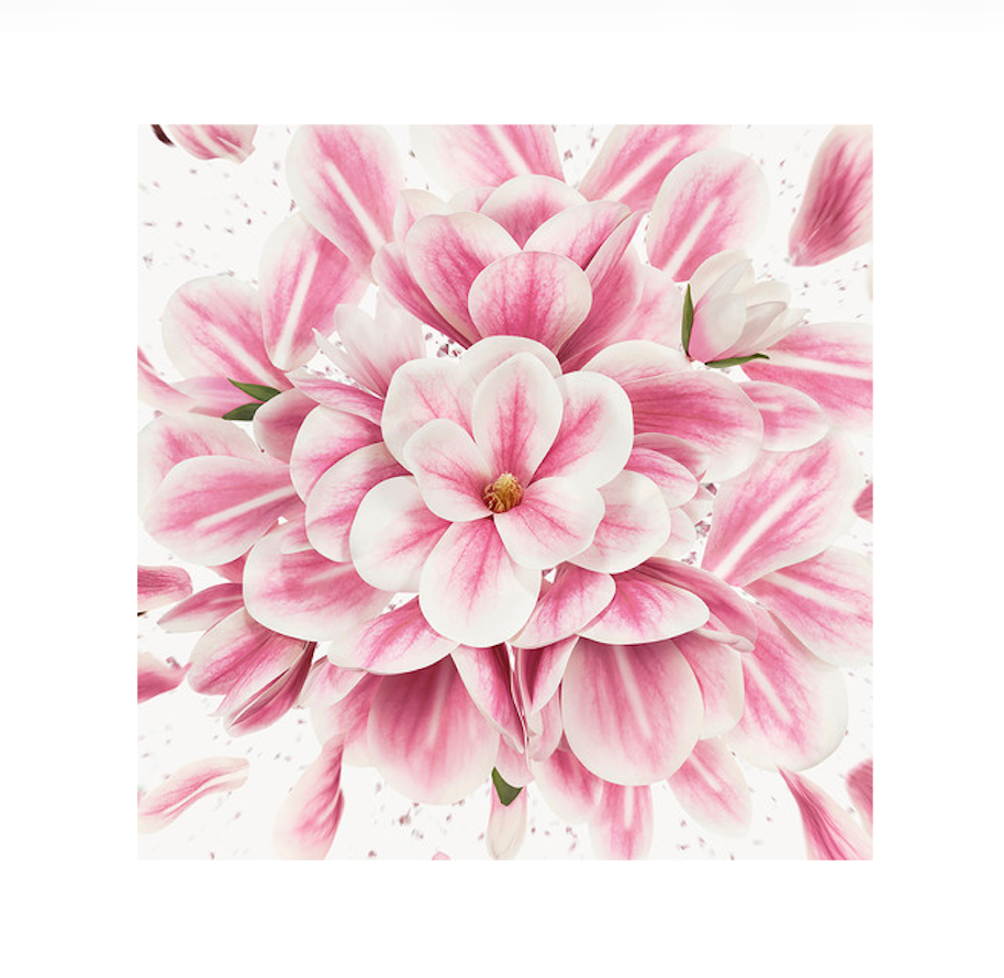 GUCCI - FLORA GORGEOUS MAGNOLIA א.ד.פ לאשה