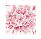 GUCCI - FLORA GORGEOUS MAGNOLIA א.ד.פ לאשה
